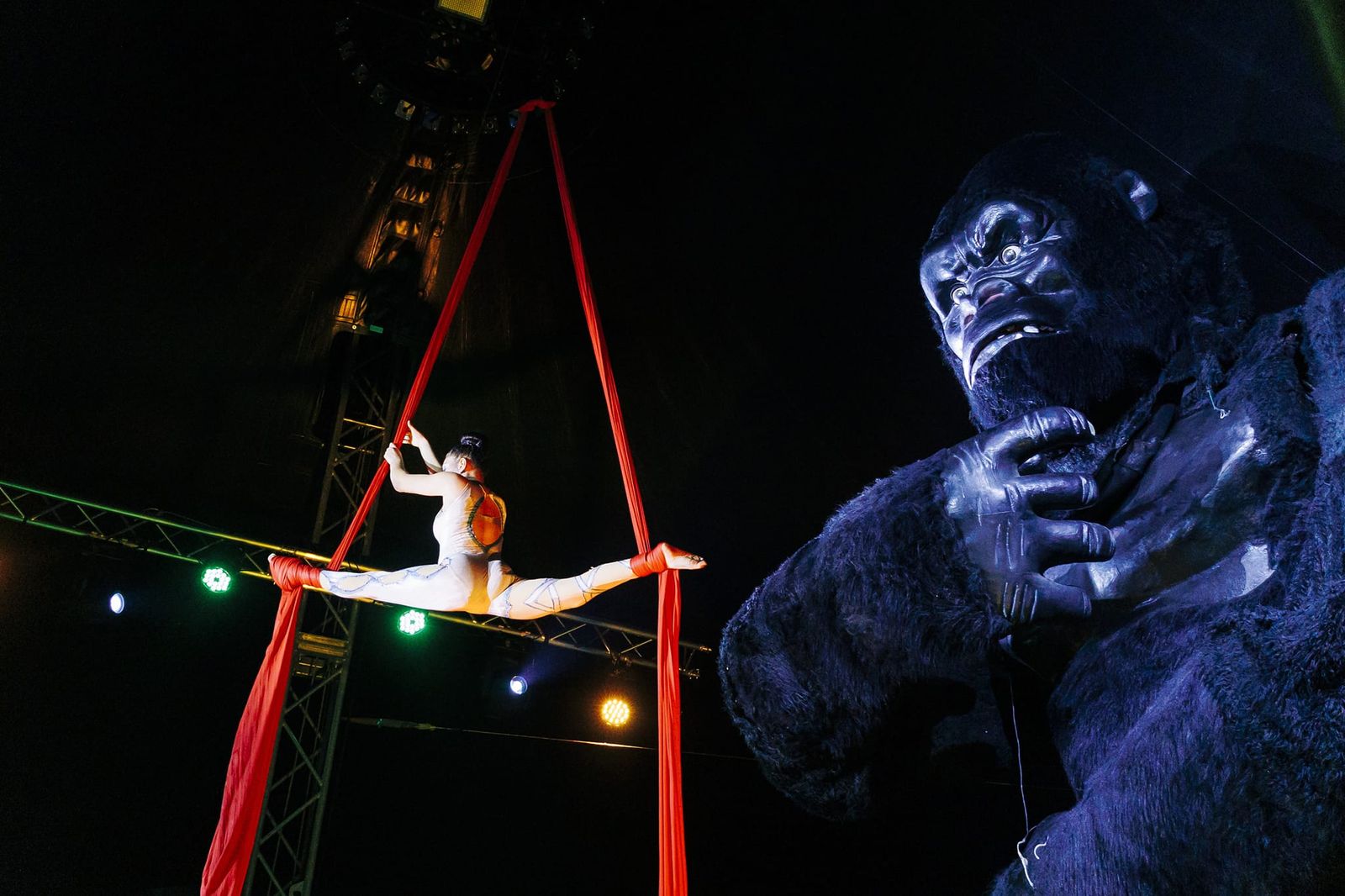 Un king kong de nueve metros de altura acompañará a los artistas durante las funciones