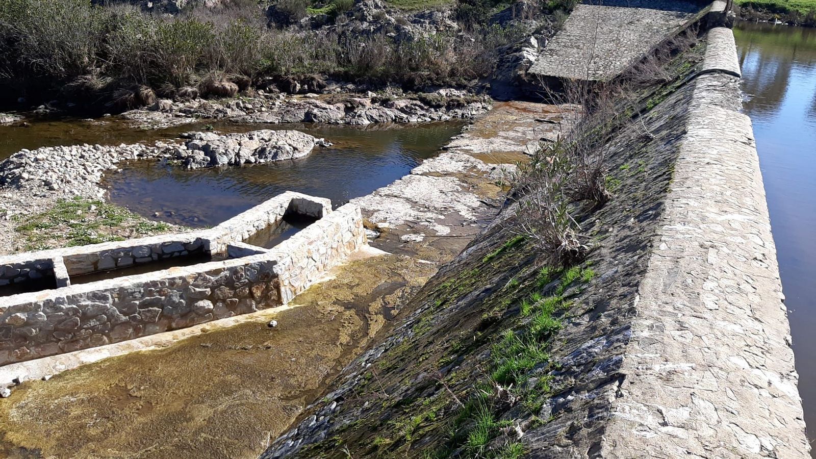 Obras que permiten la continuidad fluvial en el Guadiamar.