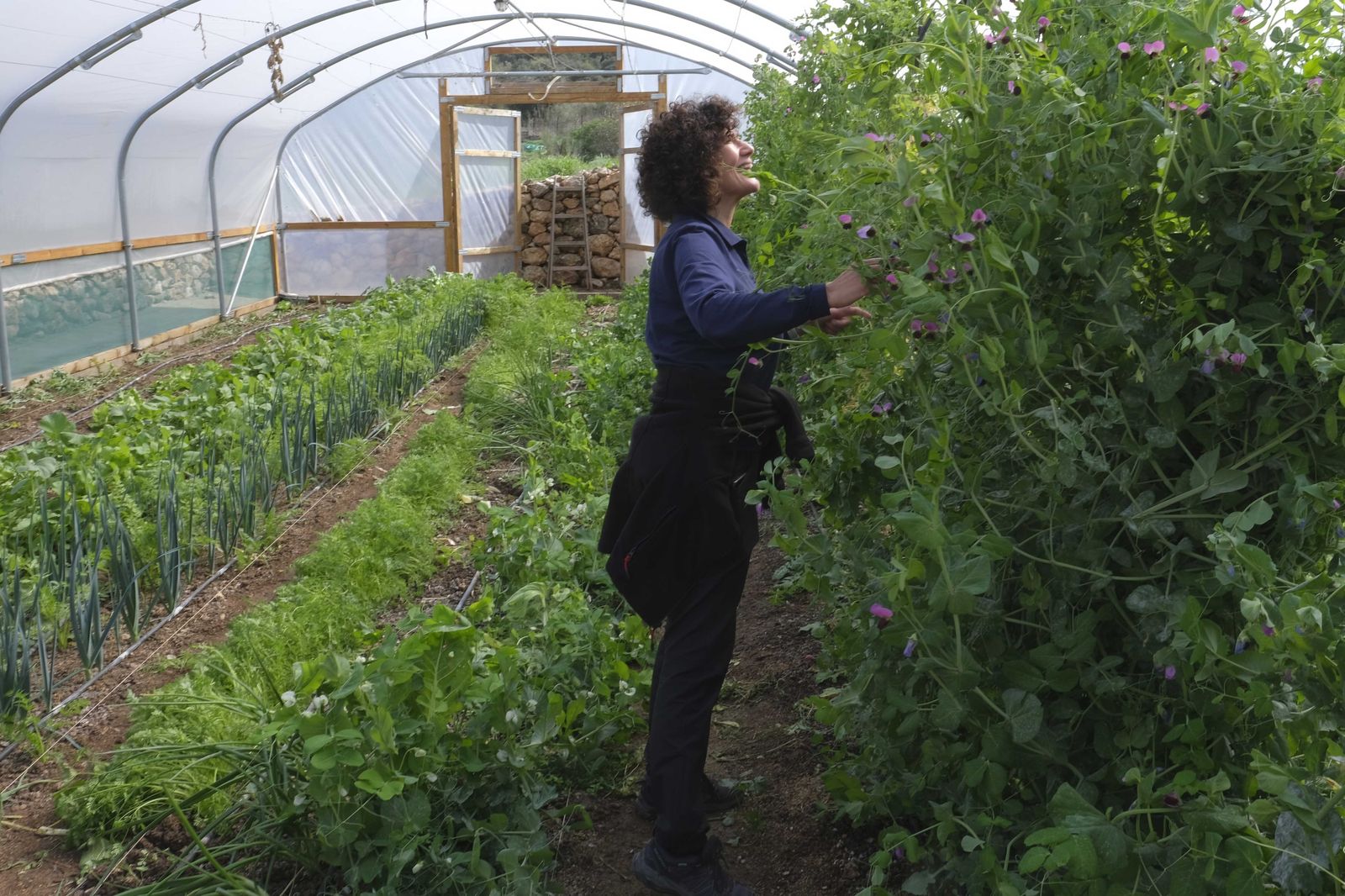 La Donaira, en fotos