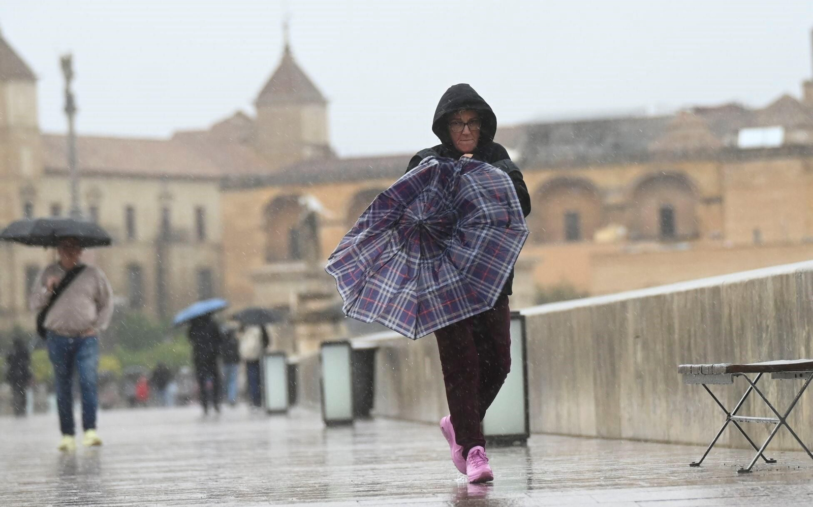 El paso de la borrasca Claudia por Córdoba en imágenes