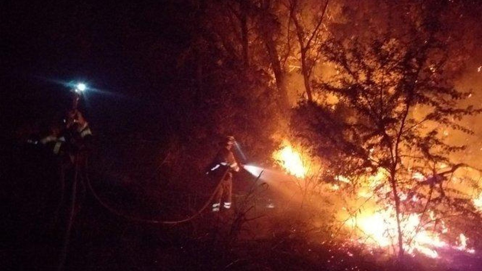 Efectivos del Infoca, esta noche en el incendio de Jerez.