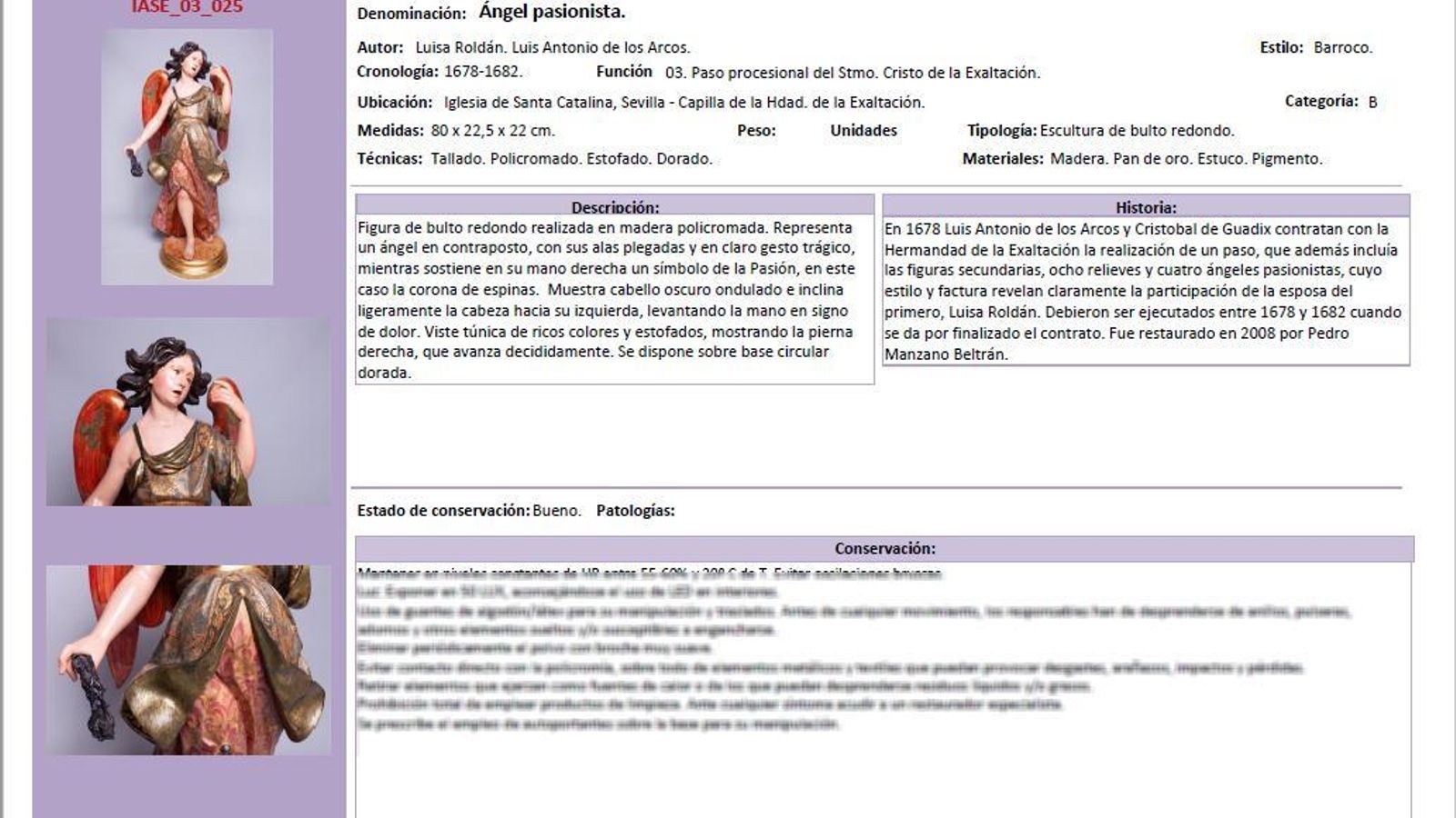 Una de las fichas de conservación de los ángeles pasionistas