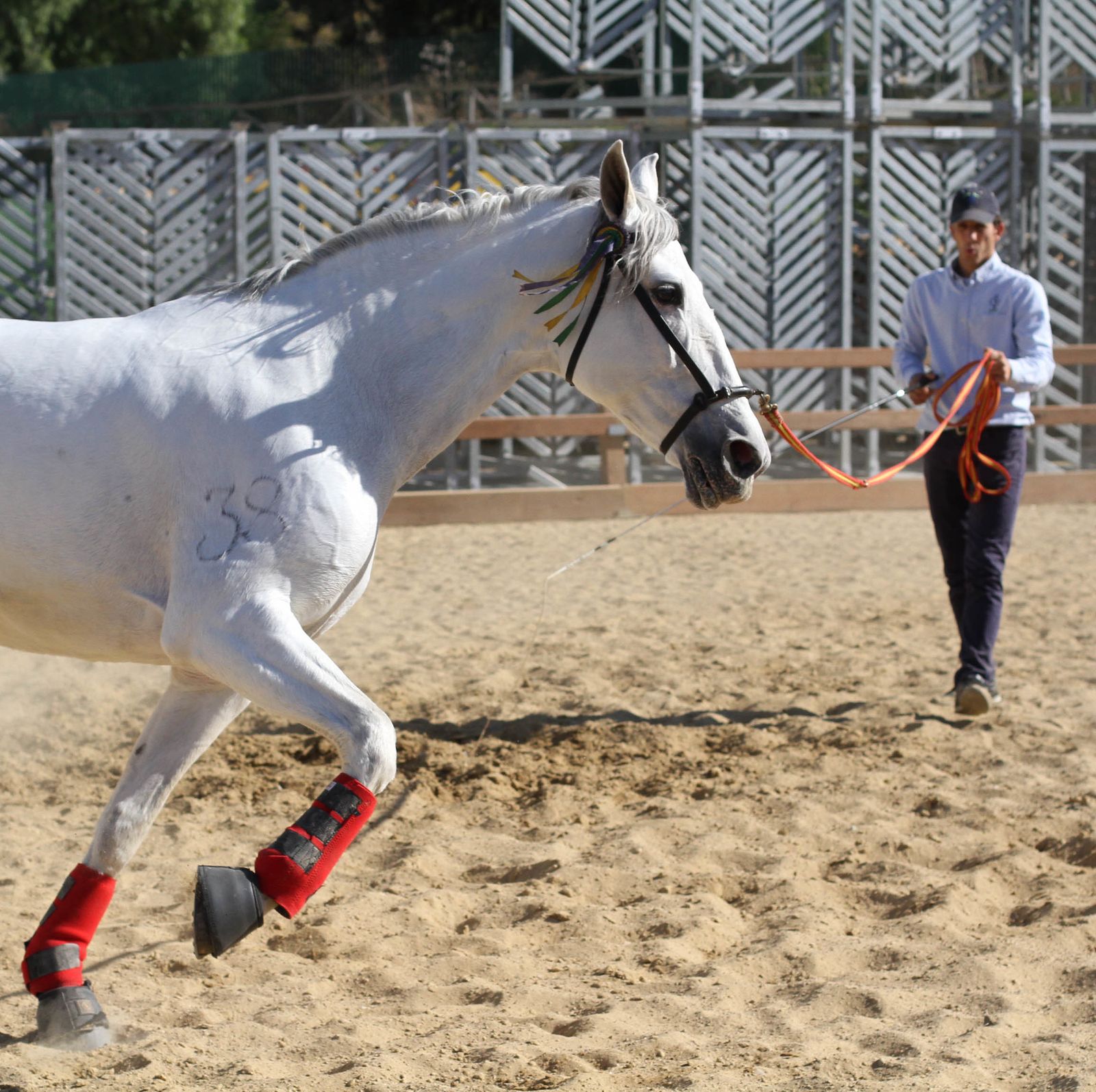 Sicab calienta motores.