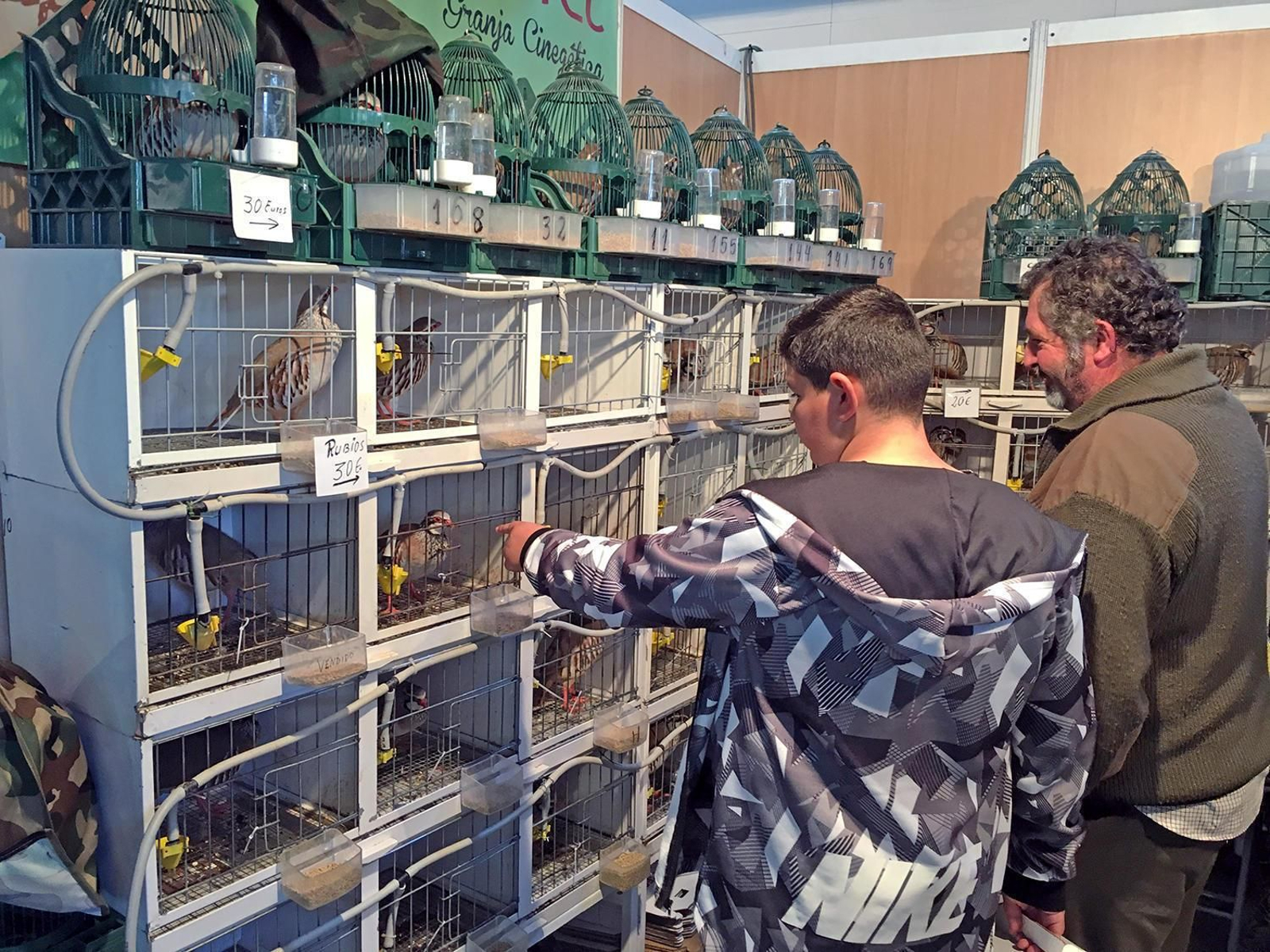 Dos personas observan algunas de las aves exhibidas en la feria egabrense.