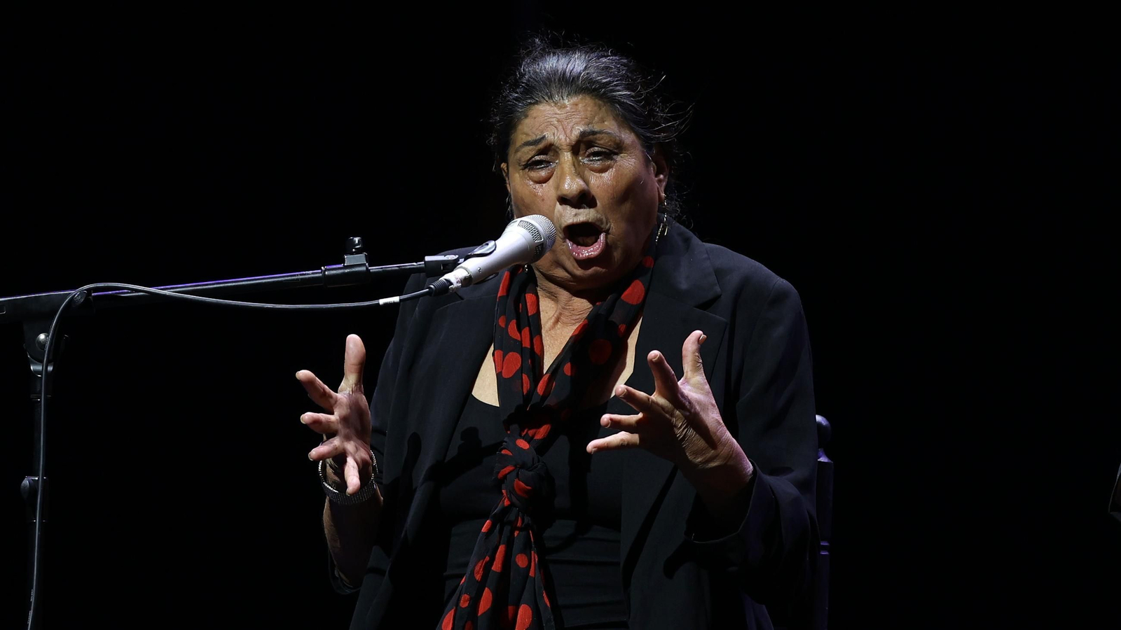 Imágenes de la 58 edición de la Fiesta de la Bulería en Jerez