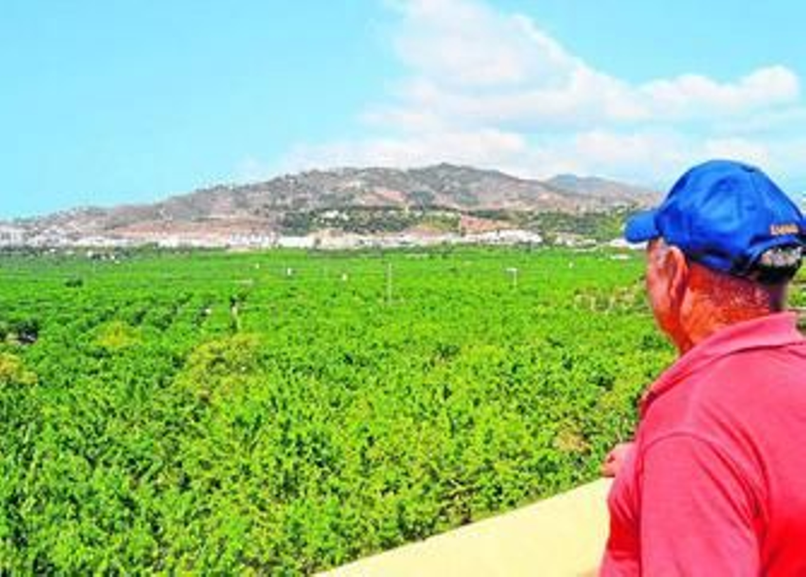 La situación es crítica por la falta de precipitaciones de este año y el pasado.