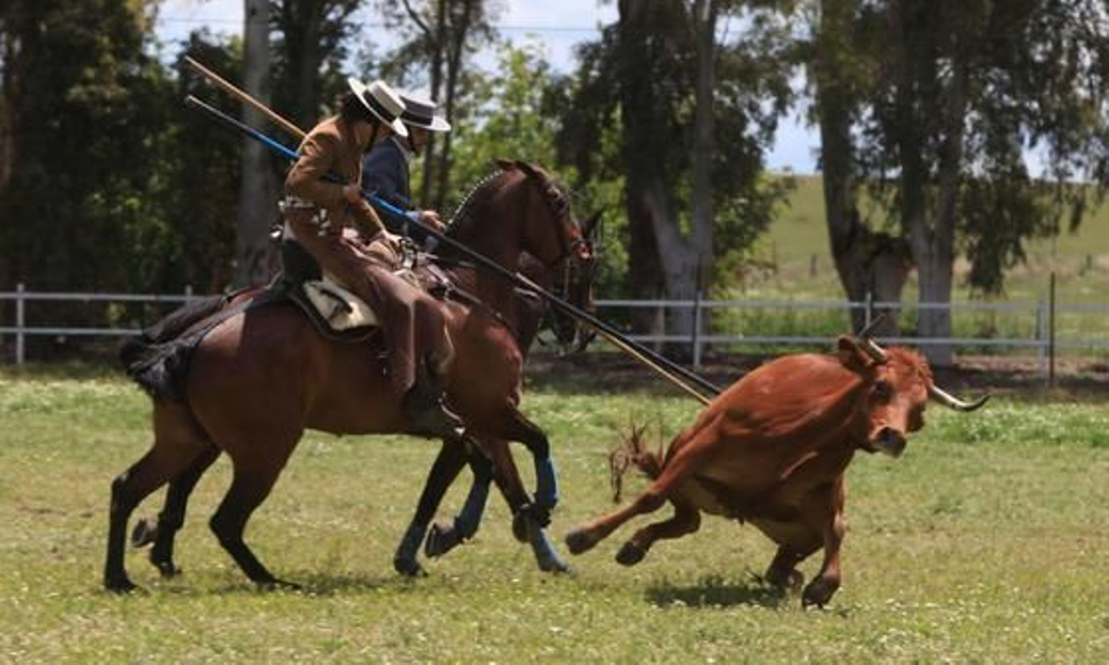 Los jerezanos Tomás y Felipe Morenés se hicieron con un trofeo reñido en un escenario muy recuperado de la lluvia.

Foto: Vanesa Lobo