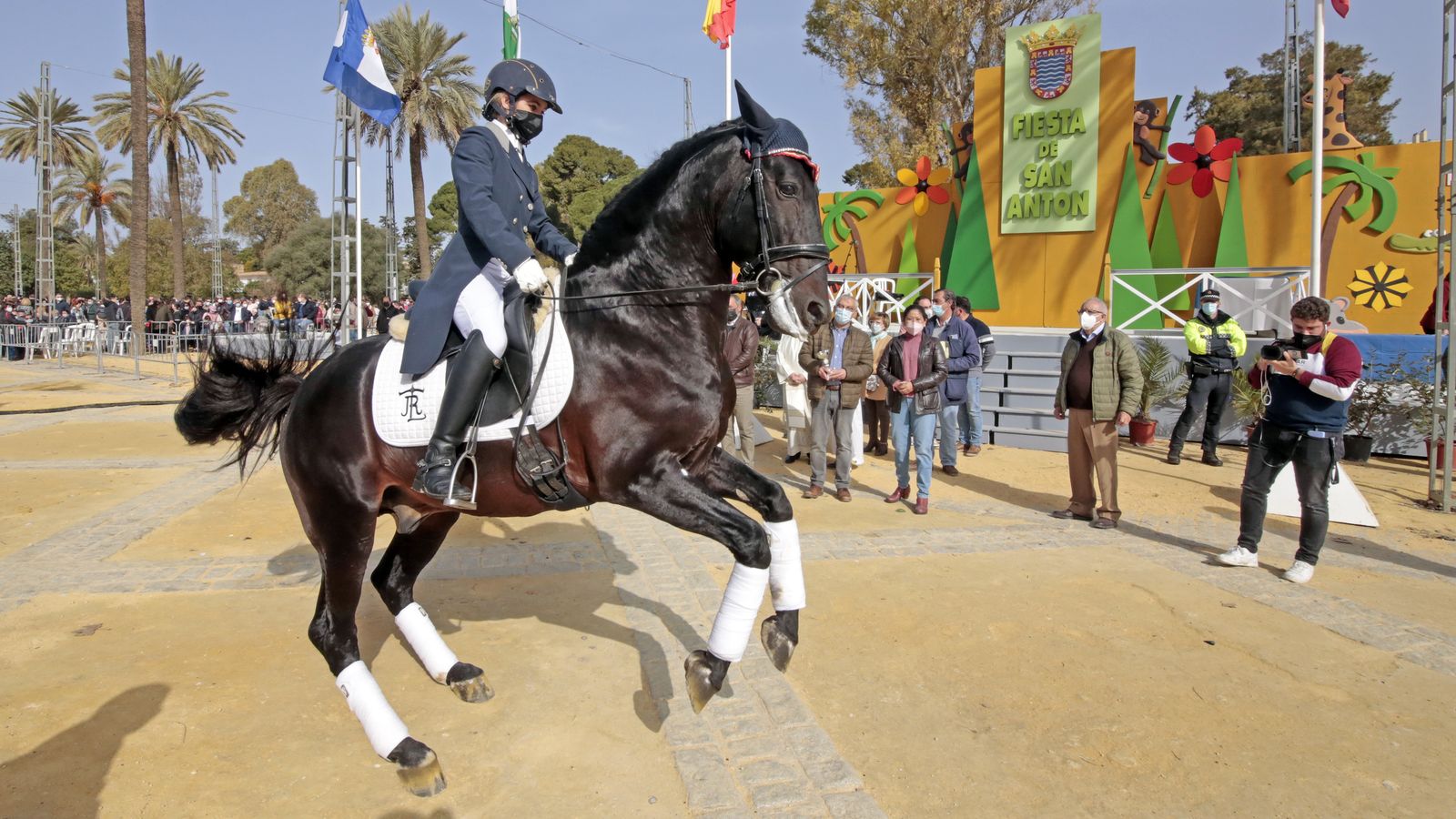 Imágenes de la 'Fiesta de San Antón 2022'