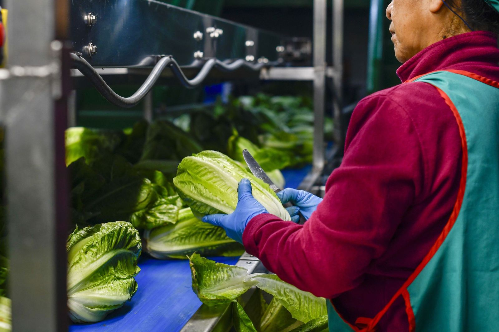 Los mejores alimentos para luchar contra el envejecimiento