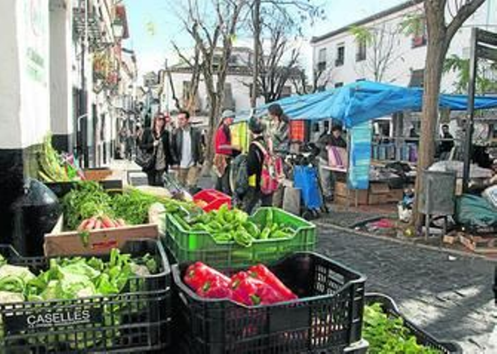 Imagen del mercadillo de Plaza Larga.