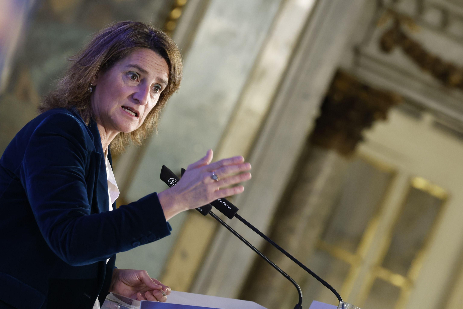 Teresa Ribera en un acto esta mañana en Madrid.