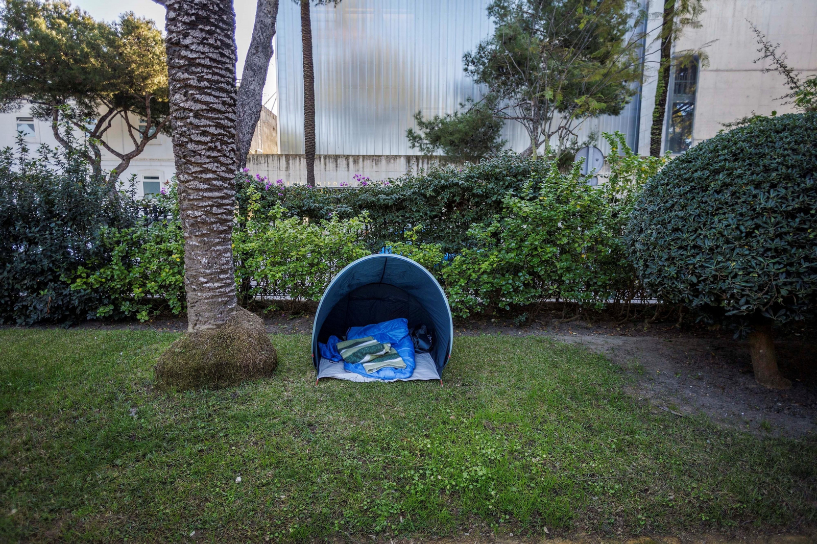 Imágenes del mal estado del Parque Genovés de Cádiz