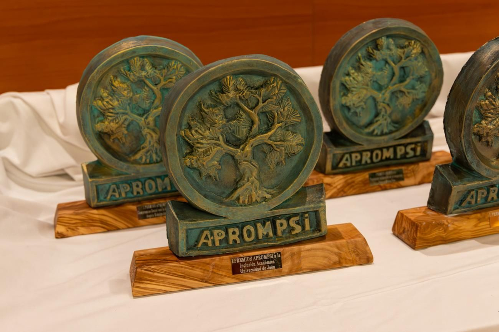 Gala con motivo del 60 aniversario de Aprompsi