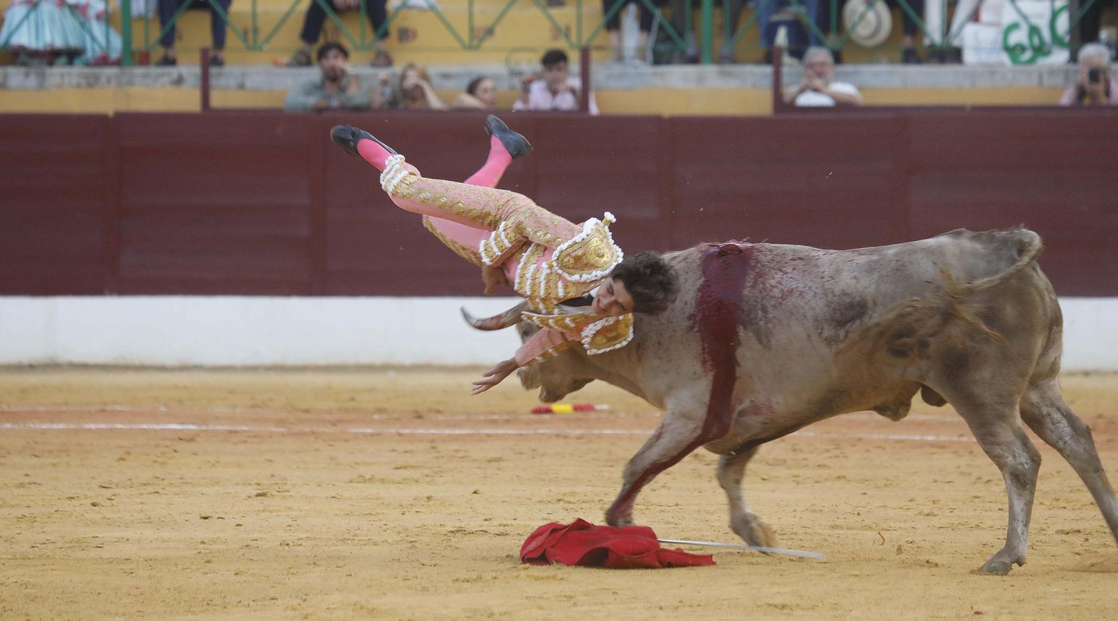 Fotos del triunfo de Manuel Roman y Javier Zulueta con la buena novillada de Núñez de Tarifa que abrió la Feria de La Línea