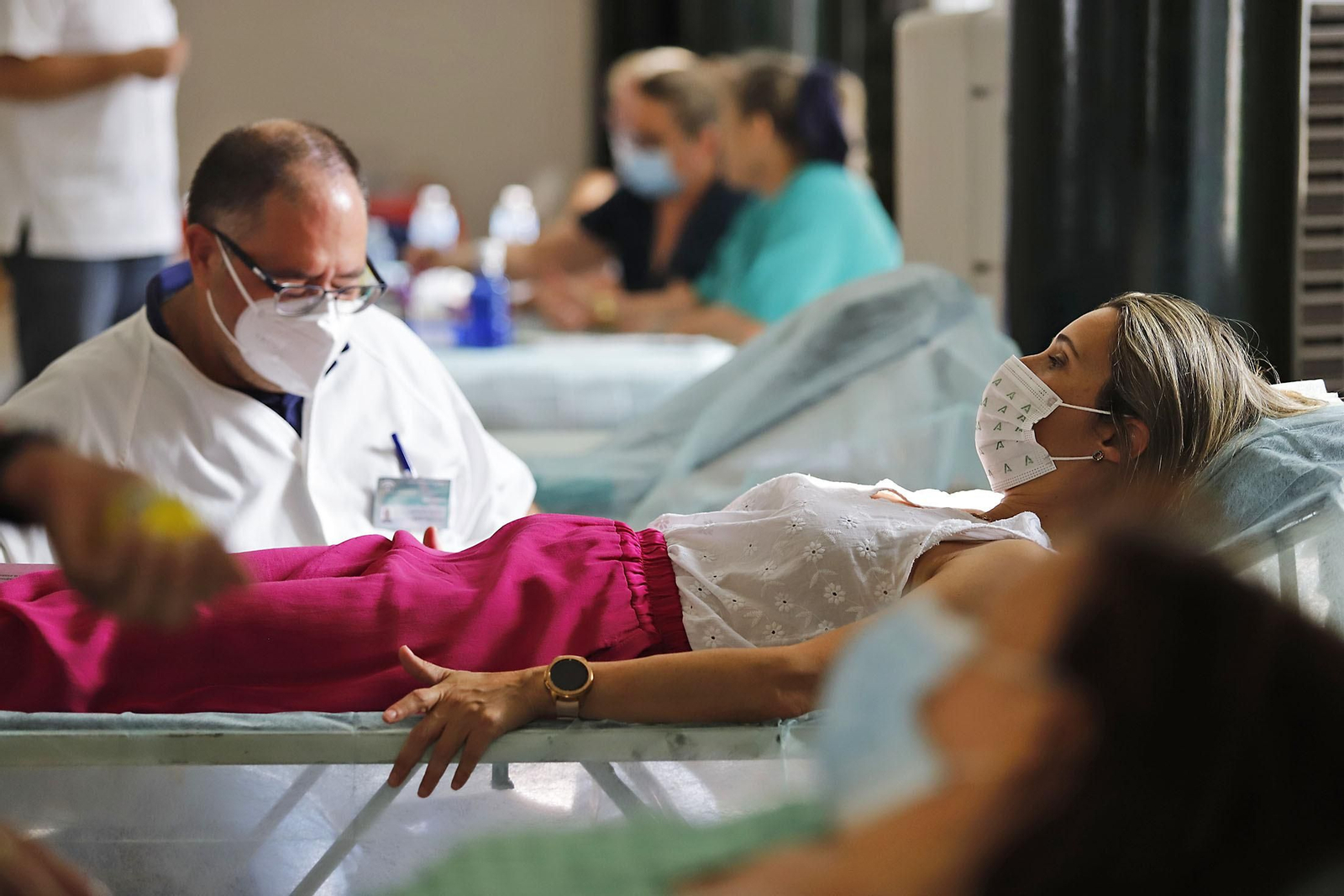 Imágenes de la Macrocolecta de sangre en la Casa Colón