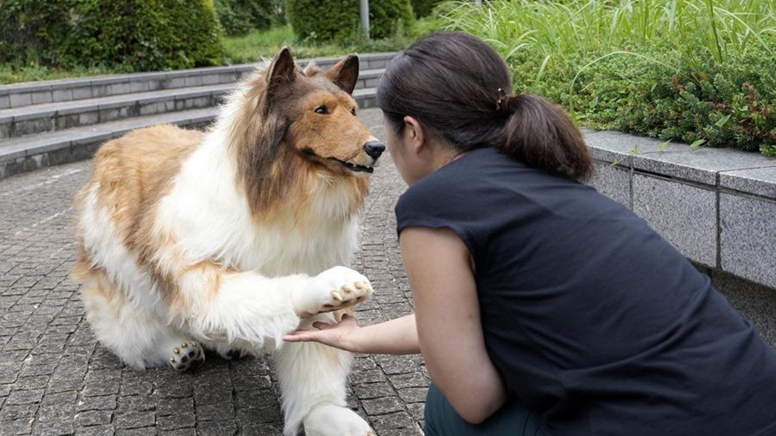 Toco, el hombre que pagó por ser un perro, busca una novia que sea como él
