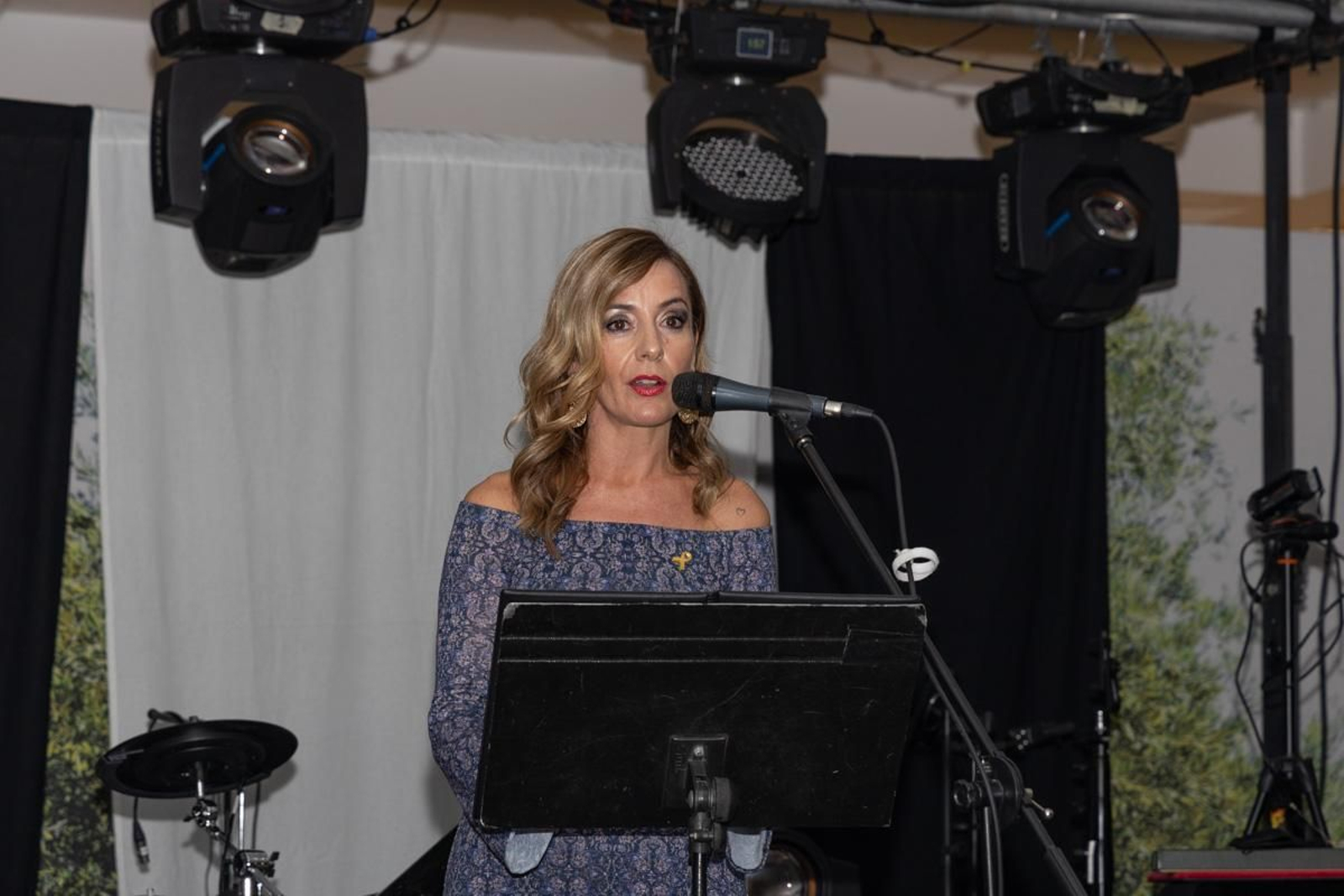 VII cena solidaria de la Asociación para la Lucha contra las Enfermedades de la Sangre (ALES), en imágenes