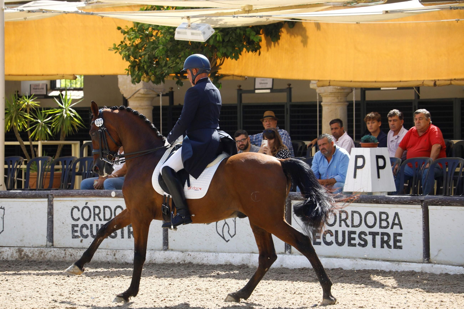 El concurso nacional de Doma Clásica en las Caballerizas Reales de Córdoba