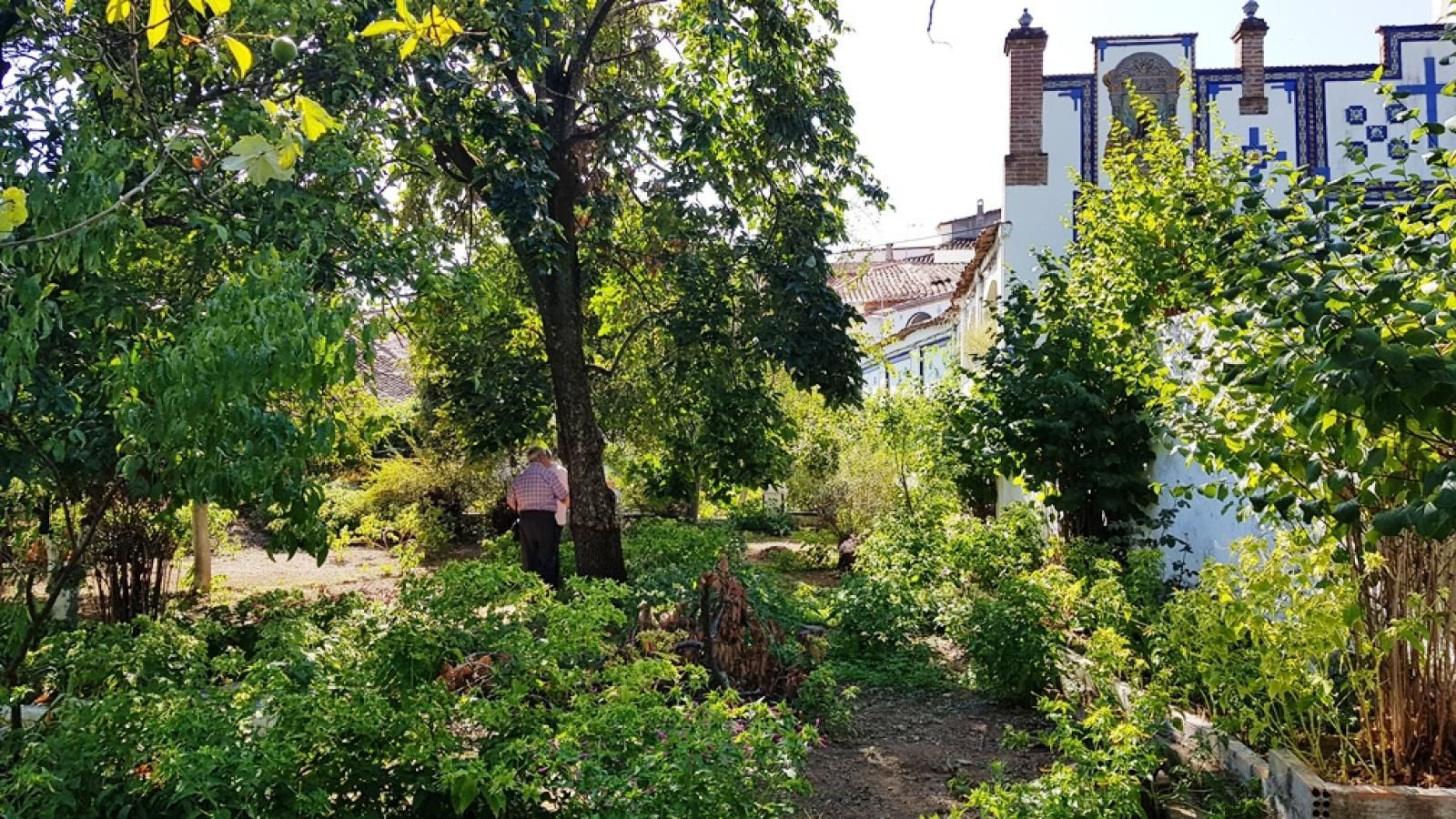 Dormir en un antiguo molino en Linares de la Sierra