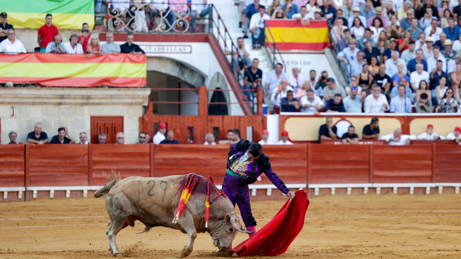Morante de la Puebla abriendo plaza con un jabonero, primero de la suelta, de un buen encierro de Joaquín Núñez del Cuvillo.
