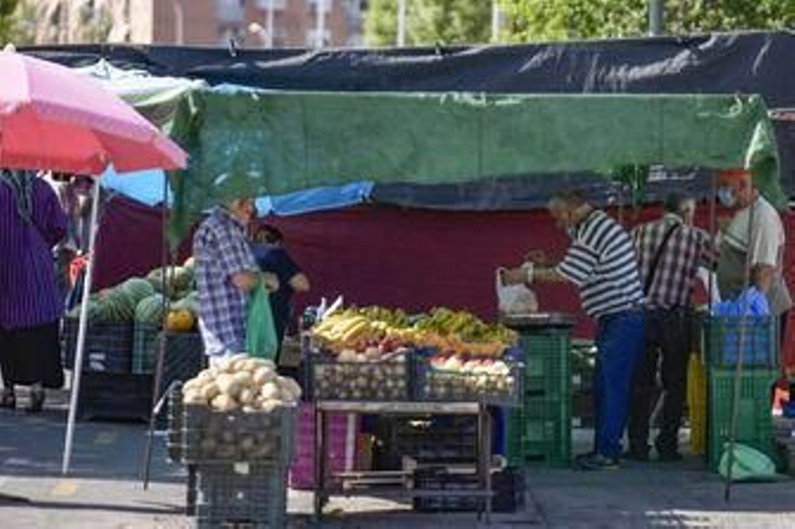 Vuelve la Marcha Verde: fotos del mercadillo de Almanjáyar