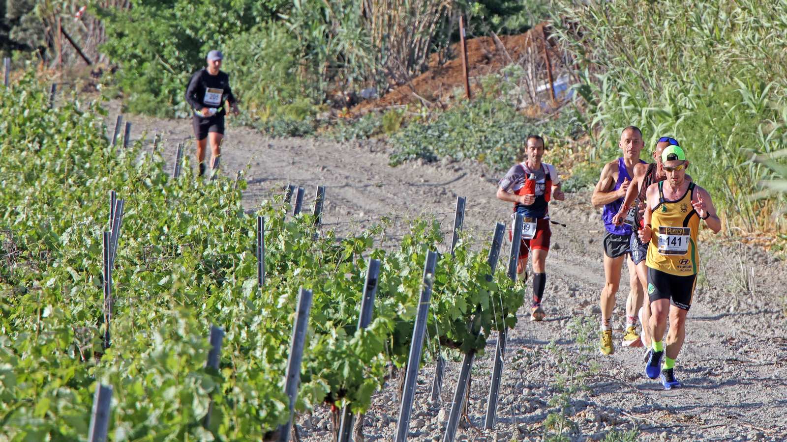 VI Sherry Maratón Jerez