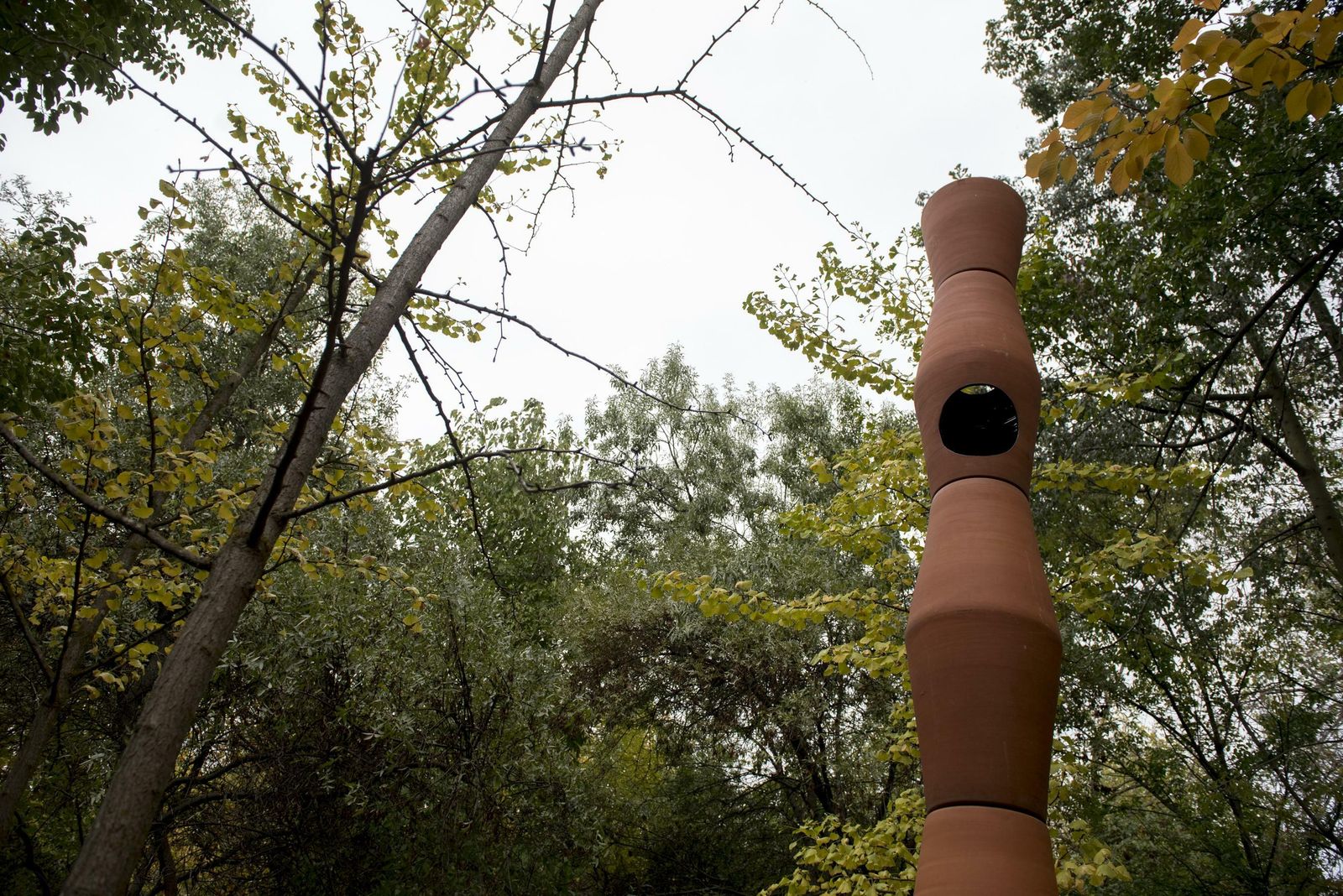 Así es el 'Bosque' que Cervezas Alhambra ha levantado en Granada