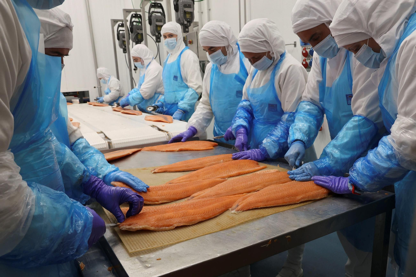 Trabajadores de Ubago, en el proceso de elaboración del salmón ahumado.