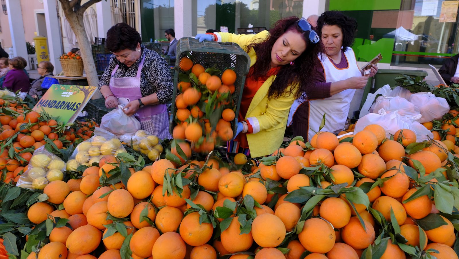El Día de la Naranja en Gádor, en imágenes