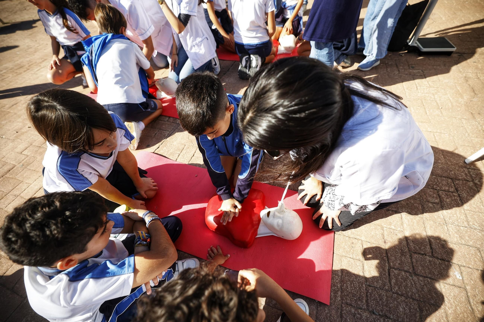 La Feria de la Salud se celebra este viernes en Cádiz.