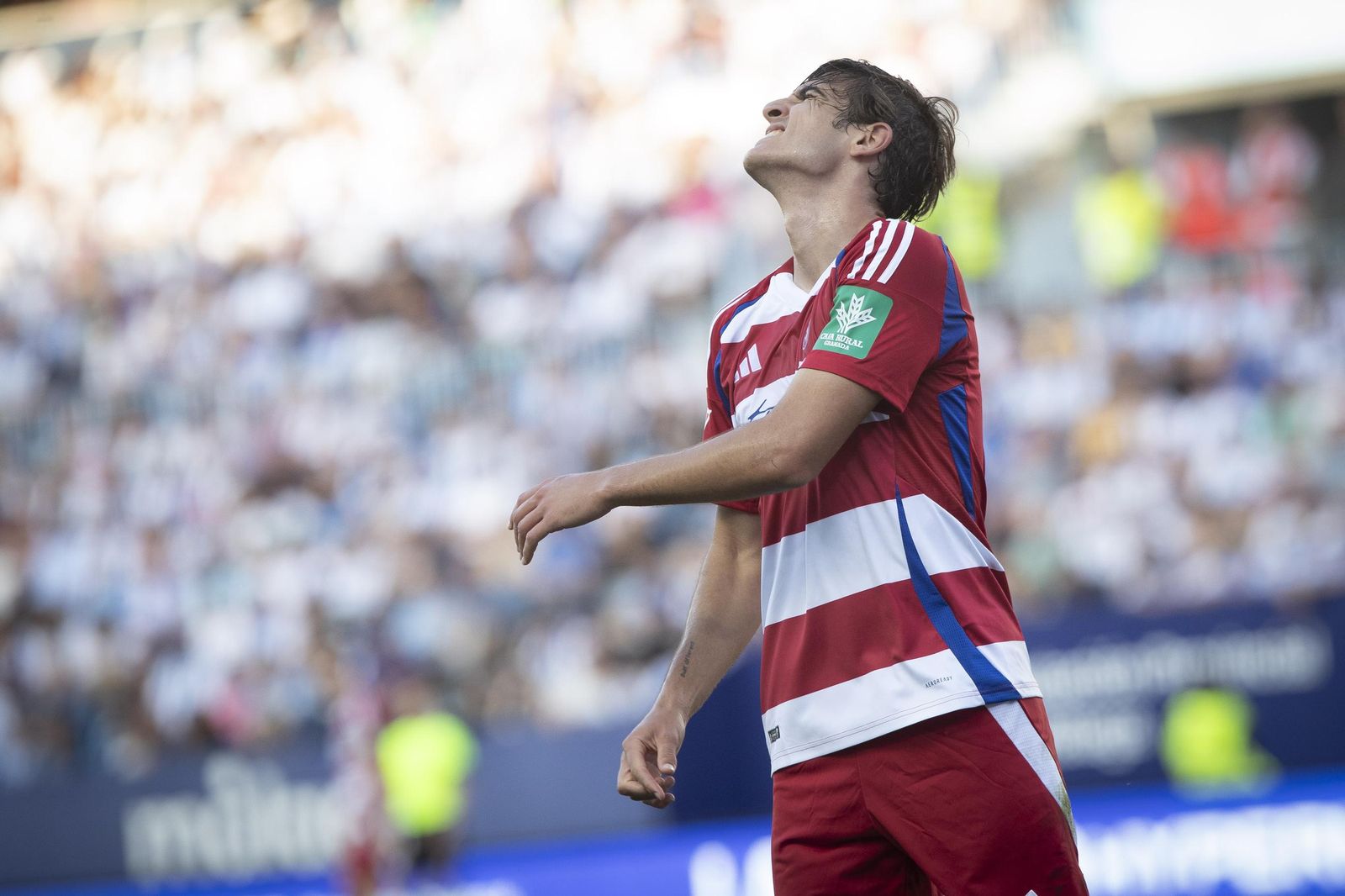 Gonzalo Villar se lamenta en La Rosaleda.
