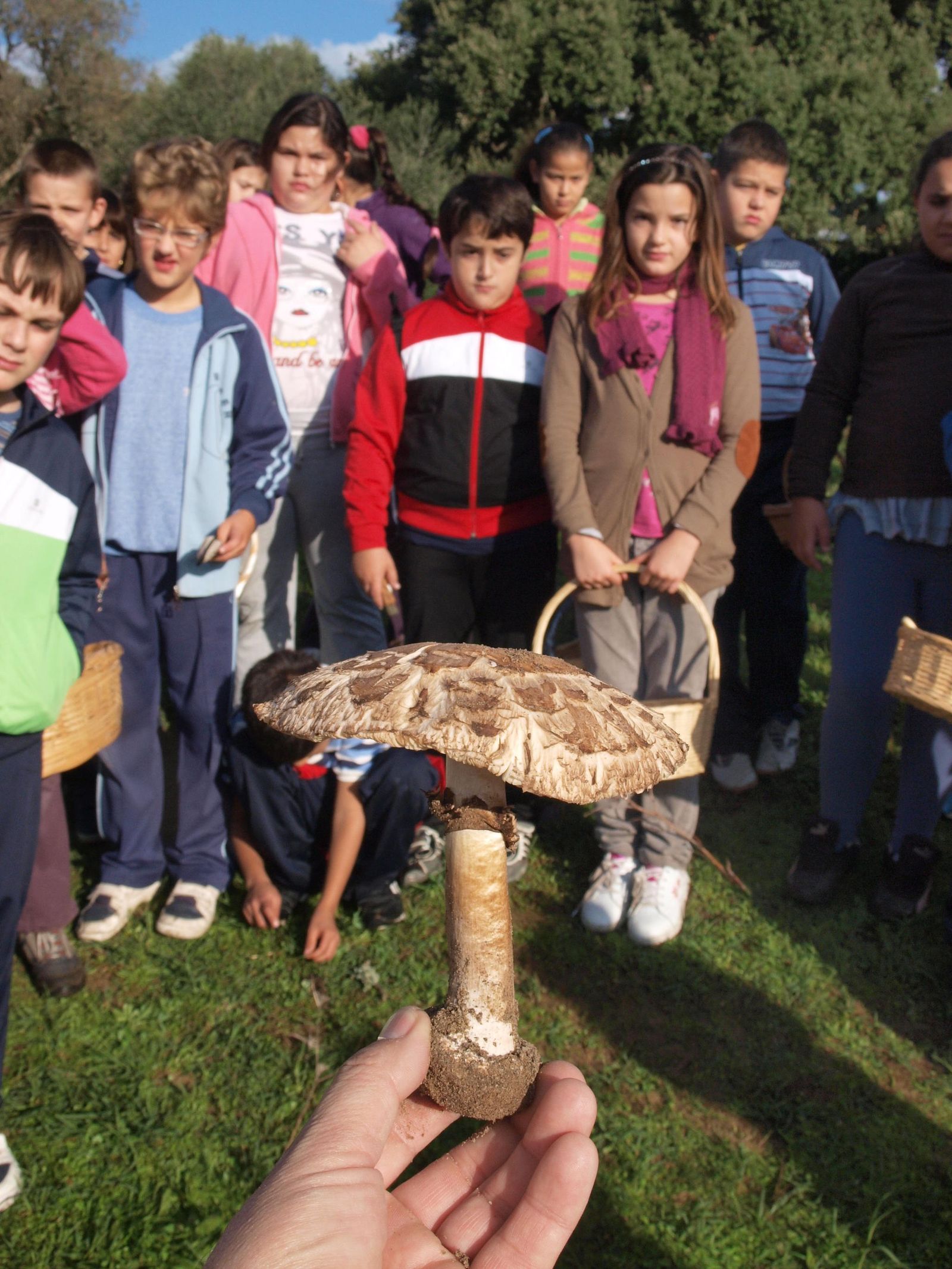 Todas desempeñan una función ecológica