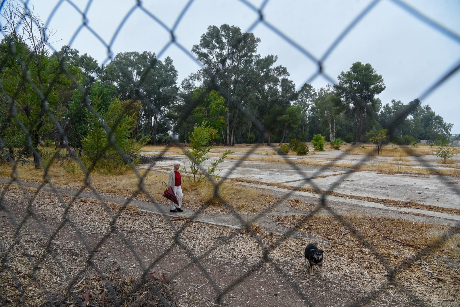 El solar en el que estaba previsto edificarse la residencia de mayores.