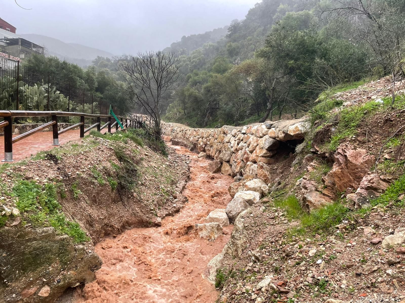 El paso de la borrasca Leonardo por la provincia de Málaga, en imágenes