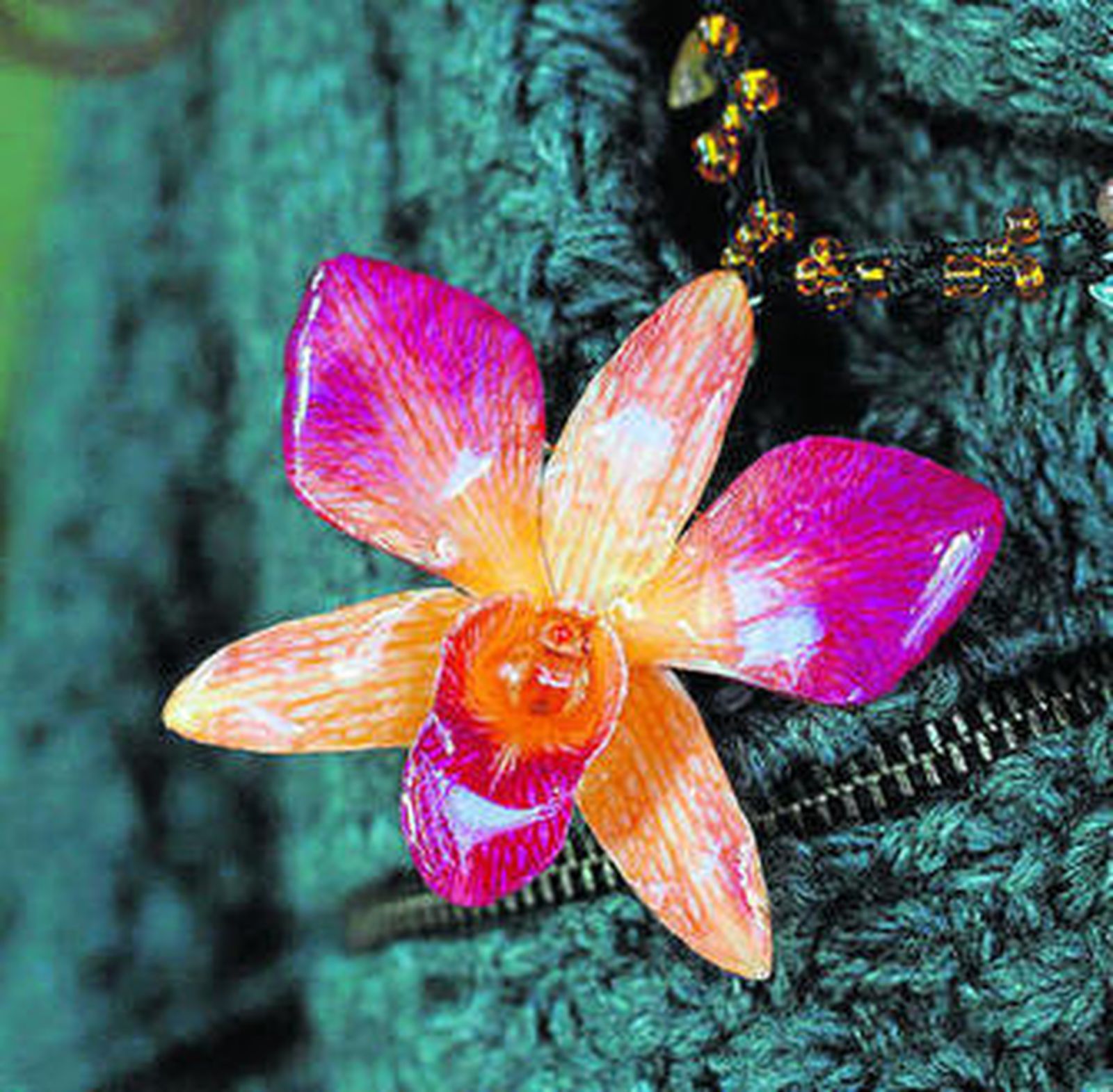 Pasión por lo auténtico. Sheilla Otero está al frente de la tienda Asombrosía, donde se venden cafés, tés y especias además de joyas elaboradas a partir de plantas naturales.