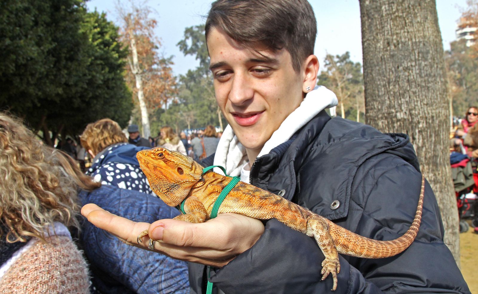 Las imágenes de San Antón