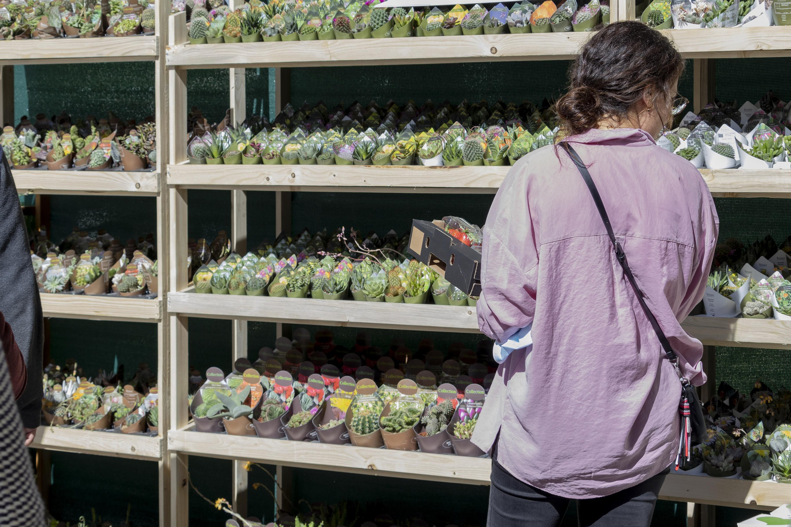 Las mejores imágenes de la Muestra de Primavera en Plaza de las Monjas, Huelva