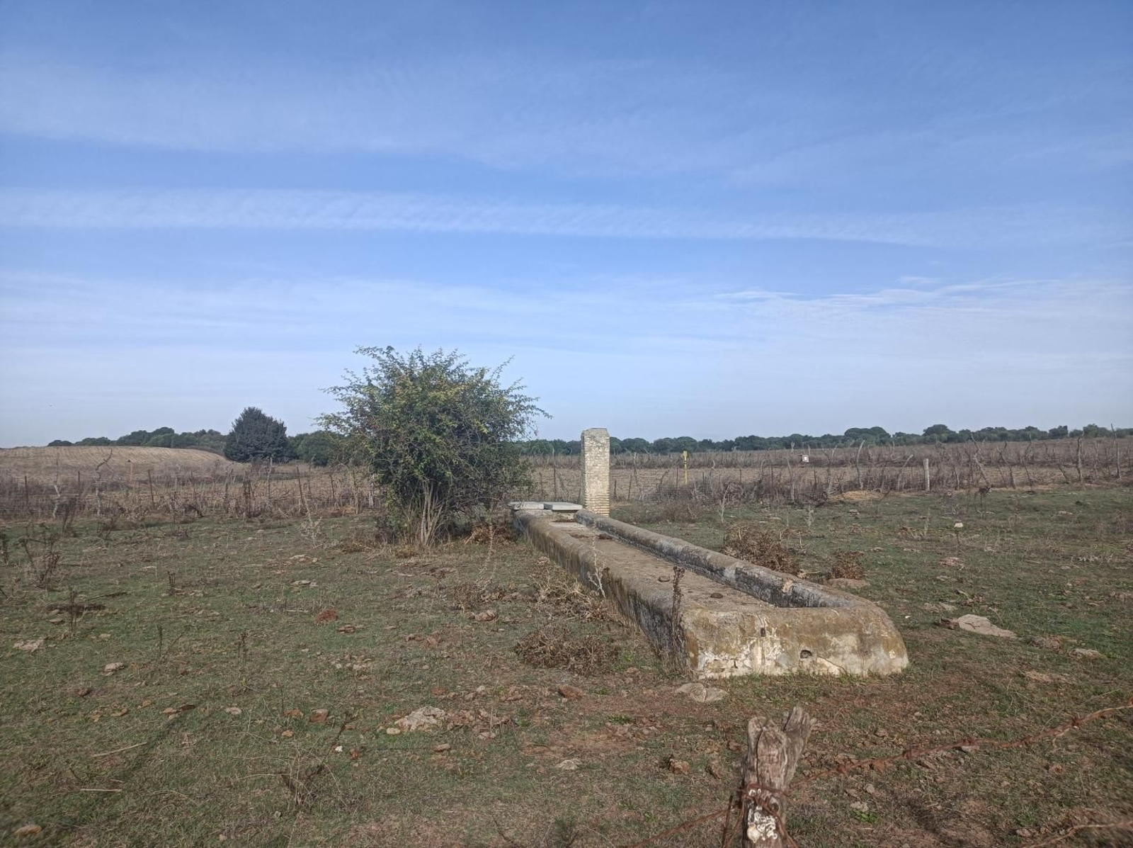 Fotos del Camino de San Diego en Almensilla