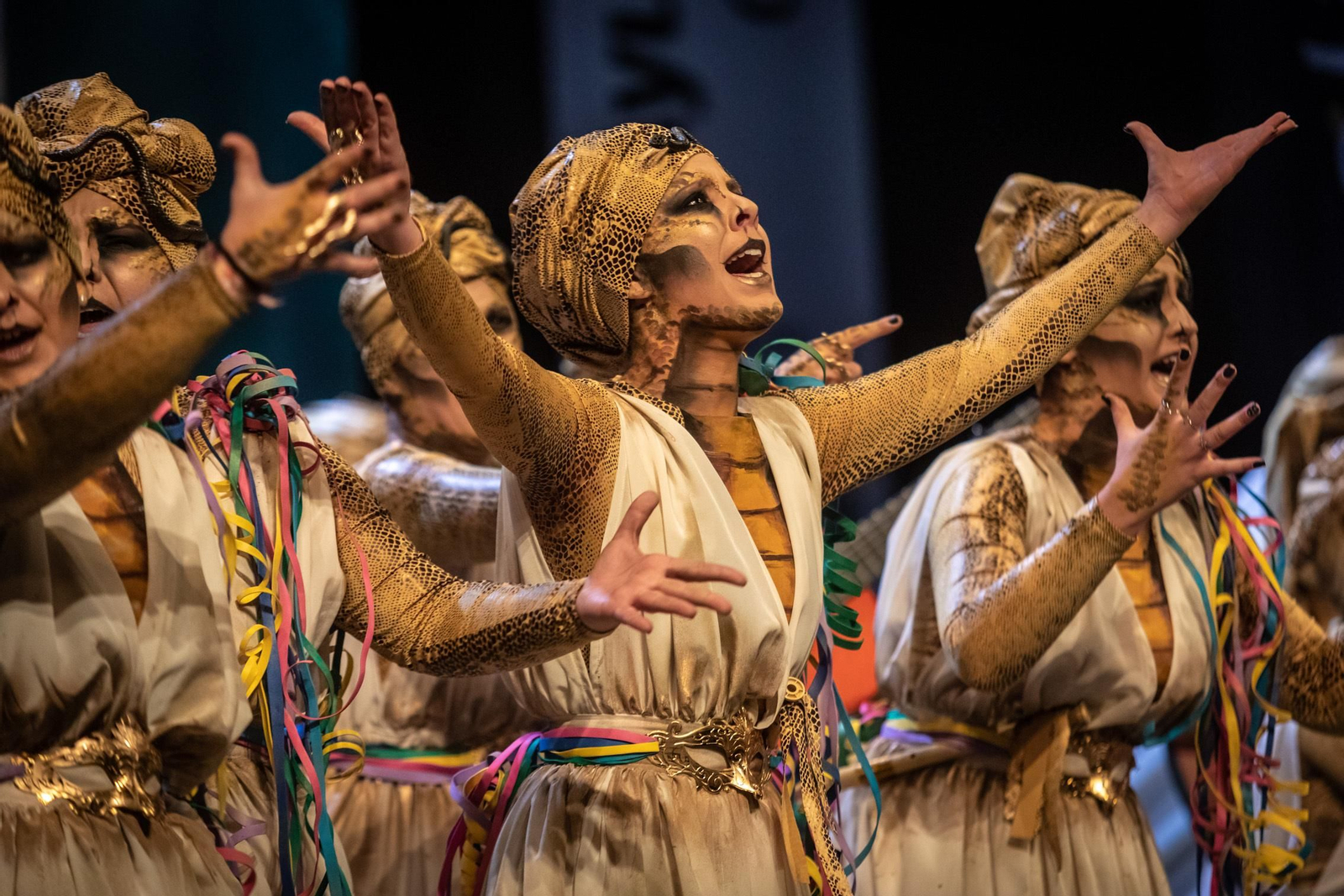 Comparsa mixta 'Lassss envenerasssss'