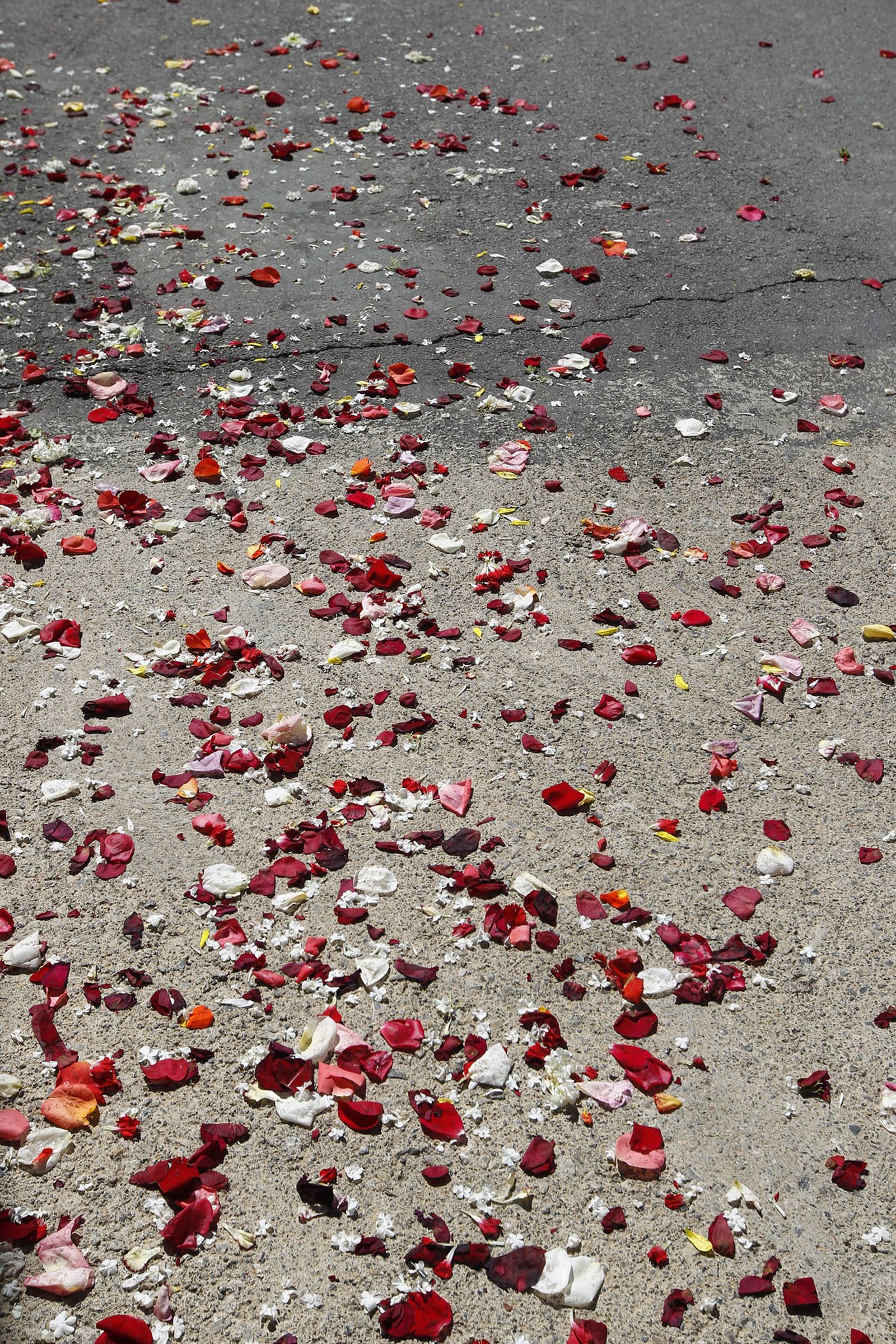 Fotogalería Tosos Ensogaos Ohanes. Fiestas San Marcos.