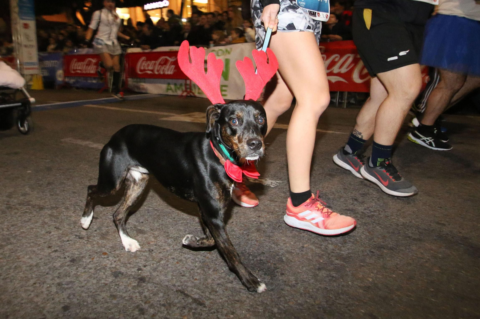 Las imágenes de la San Silvestre 2019