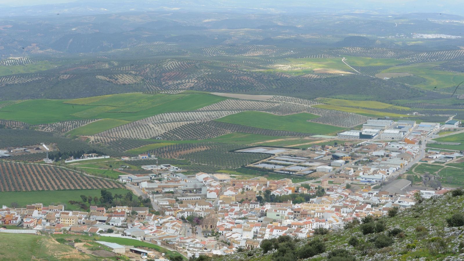 Alameda vista desde las alturas.