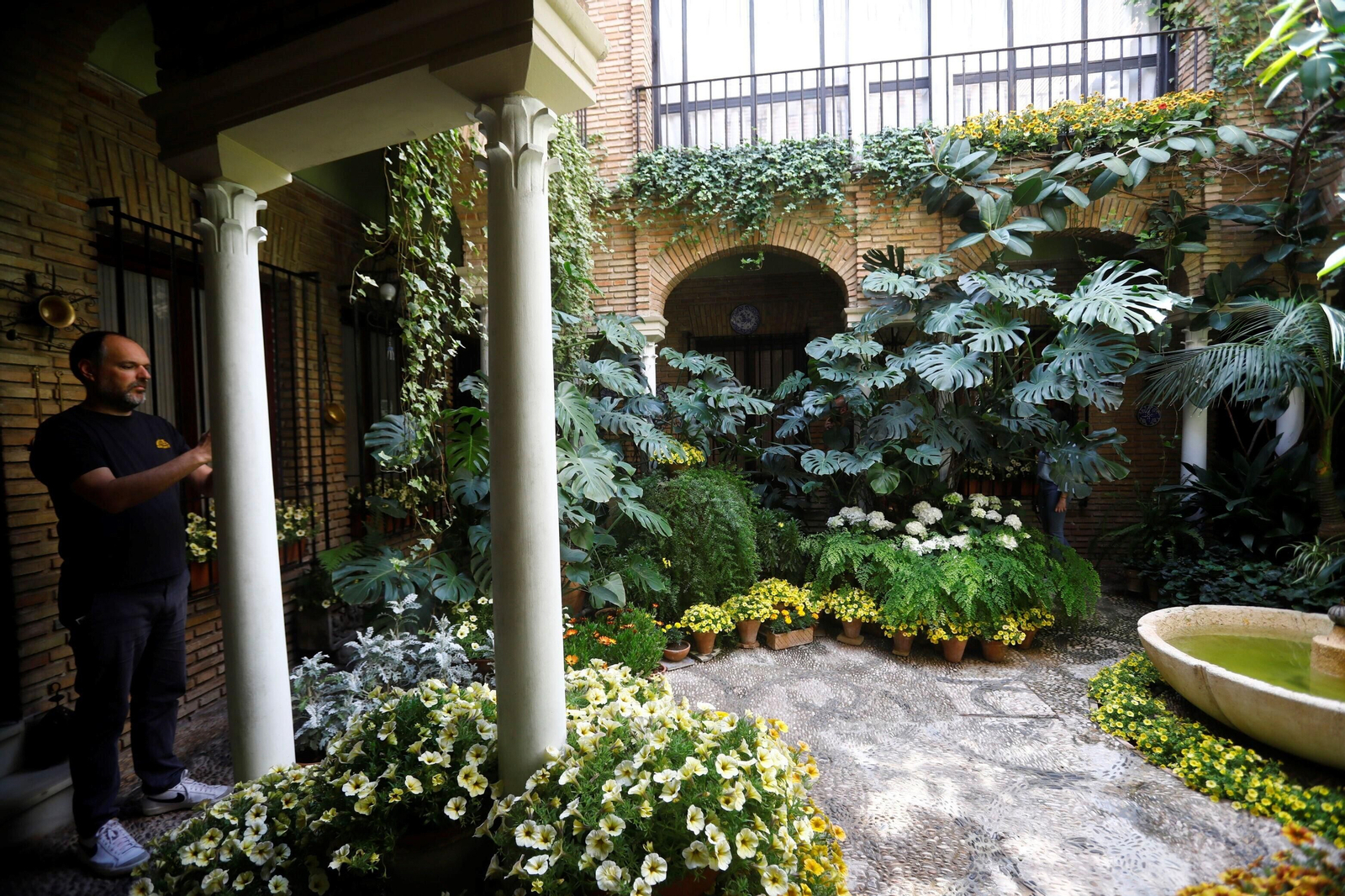 Los patios de Córdoba de la ruta Judería-San Francisco, en imágenes
