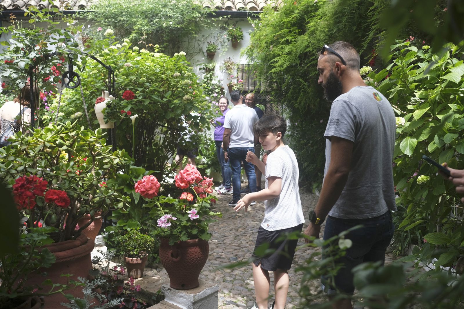 El último día del Festival de los Patios de Córdoba 2022, en imágenes