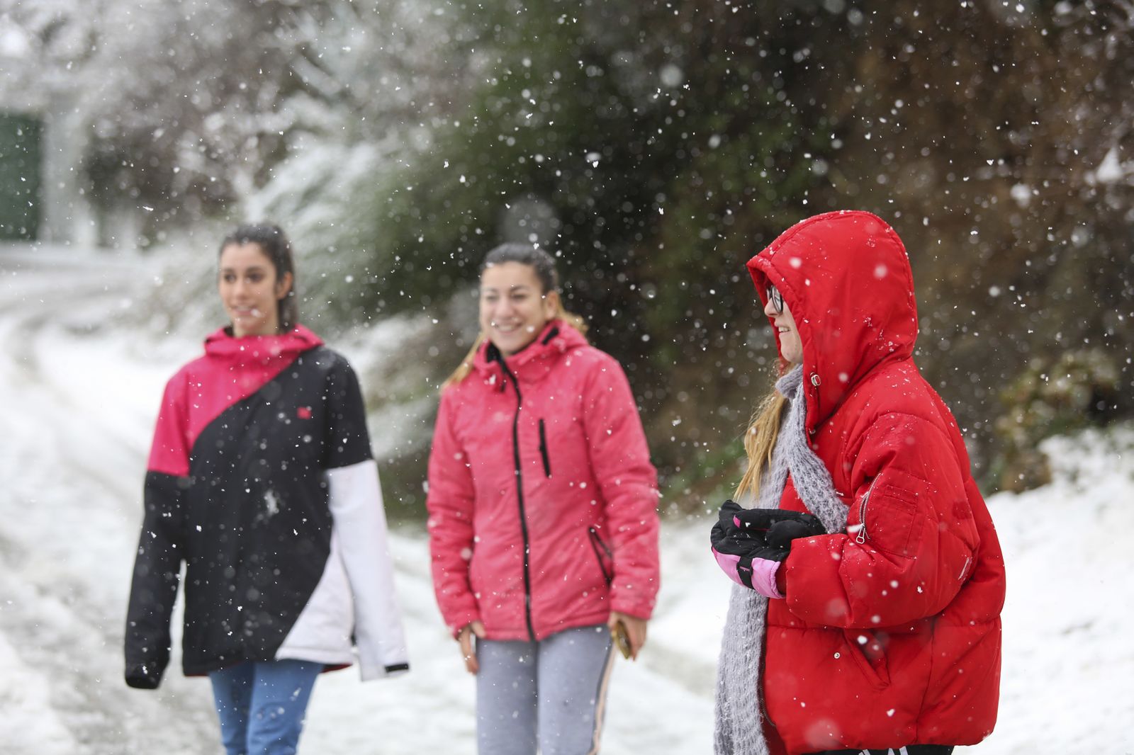 Las imágenes de la nevada en Málaga