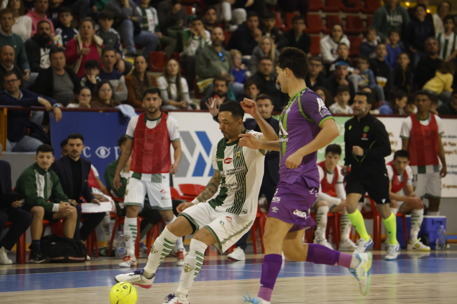 Las mejores fotos del ambiente en Vista Alegre para el Córdoba Futsal - Palma.