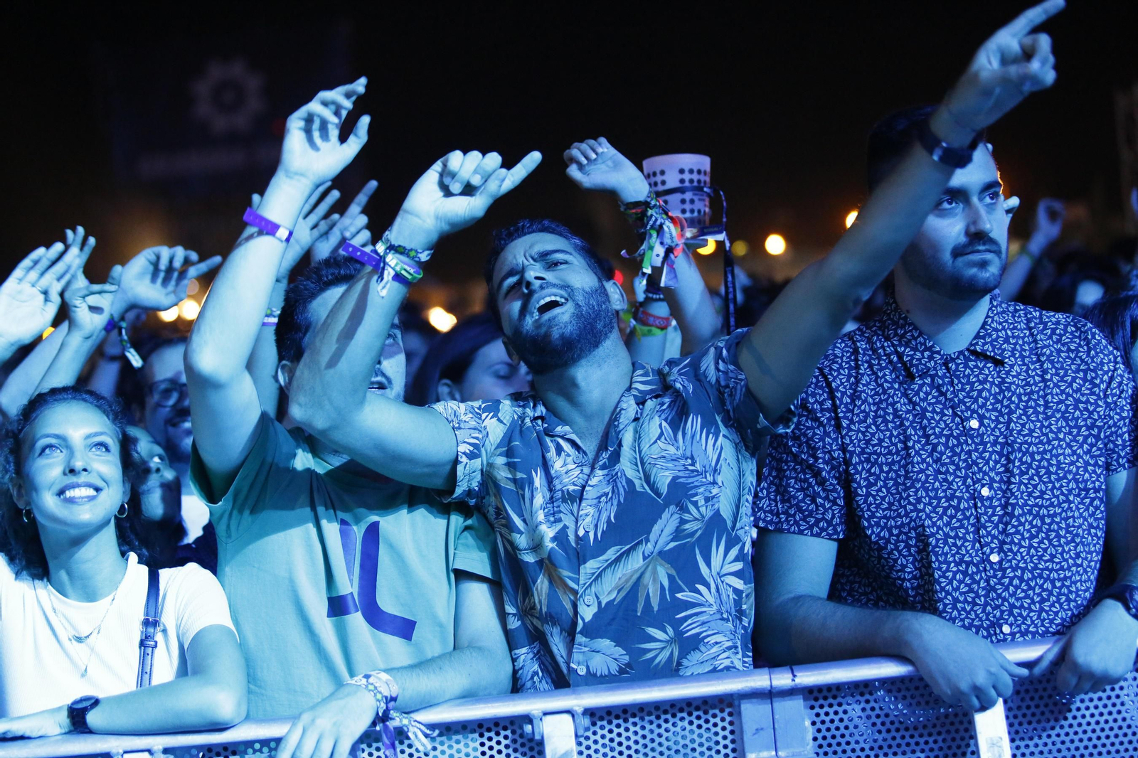 Un grupo de jóvenes disfruta de un concierto.