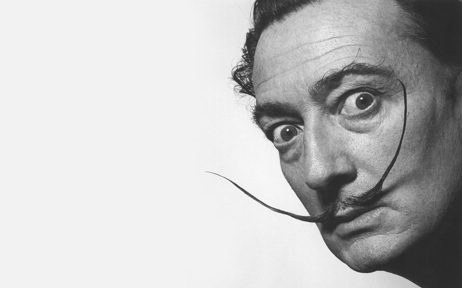 El pintor Salvador Dalí.