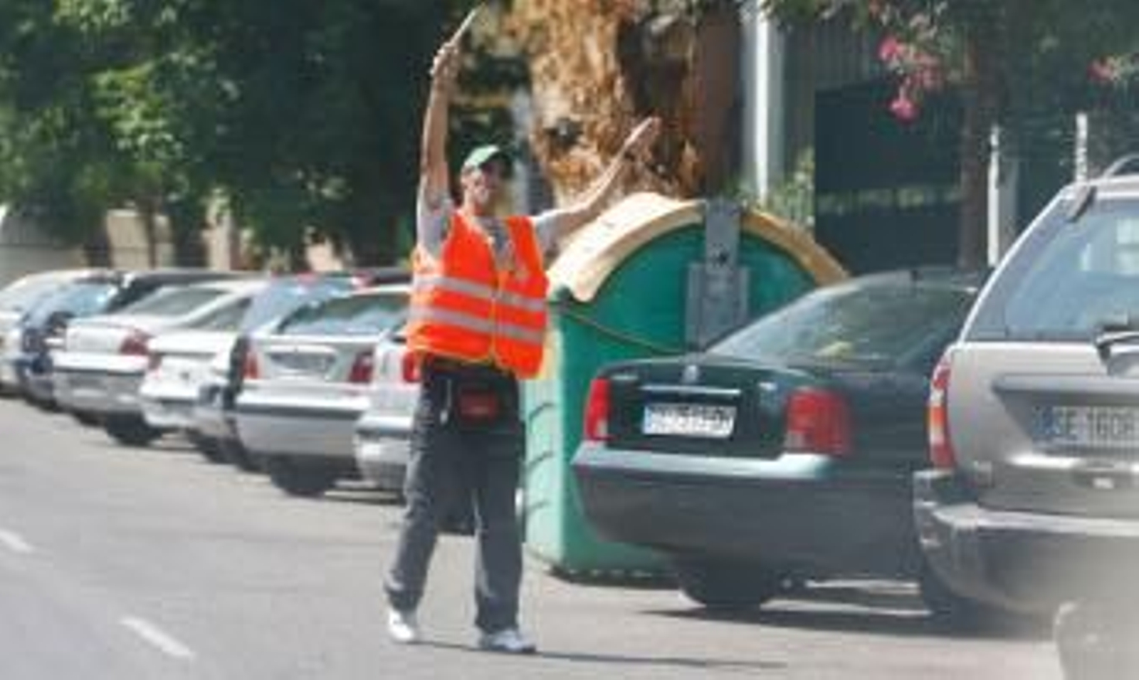 Nuevo protocolo para garantizar la identificación de los 'gorrillas'