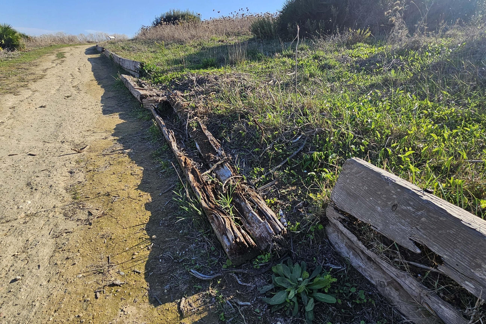 Fotografías del estado del Parque del Centenario de Algeciras